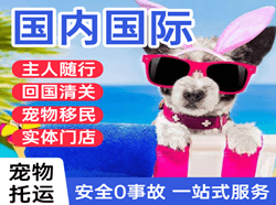 盐城航空邮寄国际宠物托运 【国